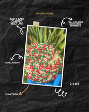 Load image into Gallery viewer, October Variety Box