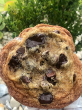 Load image into Gallery viewer, Flat Chocolate Chip
